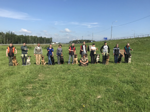 Фото №1 Услуга кинолога в Кубинка. Цена 750₽. Объявление №6714