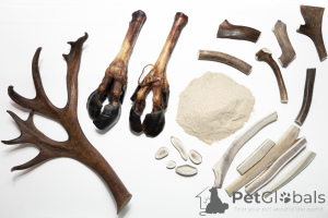 Фото №2. Зоотовары (питание) в России. Цена Бесплатно.  Объявление №139158