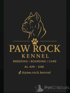 Фото №1 Гостиница для животных в Где. Цена договорная. Объявление №145660