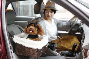 Автокресло и адресник – аксессуары, которые спасают жизни