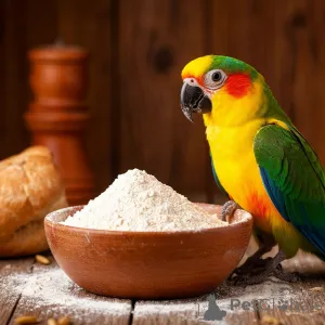 Фото №4. Мука из рога северного оленя в России. Объявление №139157